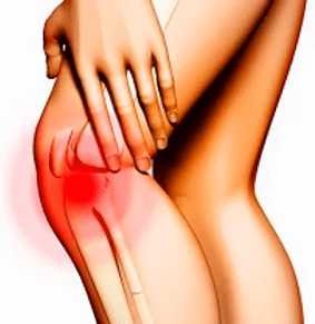 Anatomische structuur van de knie